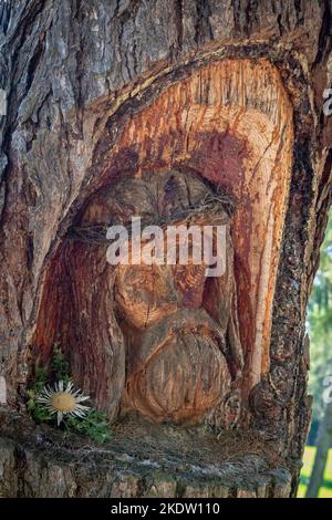 Il volto di Gesù Cristo scolpito in un abete europeo a Meltina Mölten con le dolomiti sullo sfondo nelle alpi a Südtirol - Trentino Alto Adige - Foto Stock