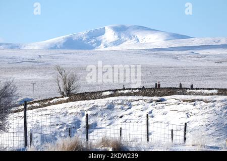 Bell'inverno a Minus Ten Foto Stock