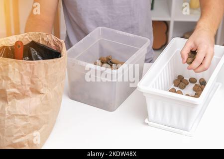 Un uomo si addormenta in una scatola di fiori di argilla espansa. Sporchi preparazione, il primo strato espanse creta. Preparazione per piantare piante. Giardinaggio a casa. Foto Stock