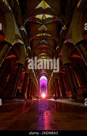 Cattedrale di Salisbury, Sarum Lights: Renaissance, novembre 2022 Foto Stock