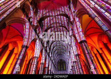 Salisbury, Wiltshire Regno Unito. 8th novembre 2022. Il Sarum Lights Renaissance si apre a Salisbury, nel Wiltshire, portando l'esperienza incredibilmente popolare di luce e suono nella Cattedrale di Salisbury, trasformando la Cattedrale con proiezioni di luce immersive e paesaggi sonori suggestivi dei più grandi dipinti e opere d'arte del periodo rinascimentale. permettendo ai visitatori di vivere il mondo rinascimentale attraverso gli occhi degli artisti e dei creativi di quel tempo. Credit: Carolyn Jenkins/Alamy Live News Foto Stock