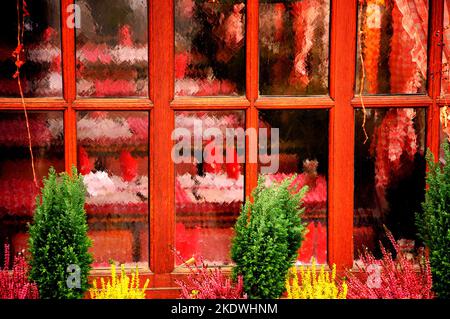 Rustica finestra del caffè francese decorata con ramoscelli di alberi di Natale. Foto Stock