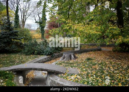 Odessa, Ucraina. 5th Nov 2022. I colori del fogliame autunnale sono visibili nel Giardino Botanico sul Boulevard francese. Giardino Botanico dell'Università Nazionale di Odessa, che prende il nome da Ilya Mechnikov. Sul territorio del giardino si presentano più di 3.000 tipologie di spazi verdi con una superficie di circa 16 ettari. Il giardino è una suddivisione educativa della Facoltà di Biologia dell'Università, sulla base dei diplomi e delle relazioni terminologiche sono svolte annualmente, il personale scientifico del giardino partecipa al processo educativo.nel 1963, il giardino botanico è stato dato lo status di parco-monumento Foto Stock