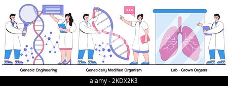 Ingegneria genetica, organismo geneticamente modificato, concetto di organi coltivati in laboratorio con carattere umano. Set di illustrazioni vettoriali per bioingegneria. DNA manipu Illustrazione Vettoriale