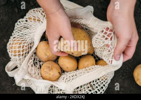 Mani di donna che prendono patate biologiche dal sacchetto riutilizzabile della stringa pieno delle verdure dal mercato. Vista dall'alto. Concetto di raccolto. Mangiare sano. Concetto Foto Stock