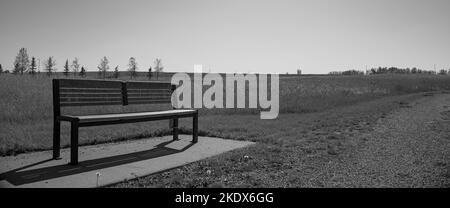 Prospettiva in bianco e nero di una panchina solitaria nelle praterie Foto Stock