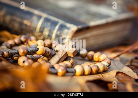 Perline di rosario di legno e libro sacro della bibbia che giace sulle foglie d'autunno. Foto Stock