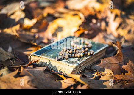 Perline di rosario di legno e libro sacro della bibbia che giace sulle foglie d'autunno. Foto Stock