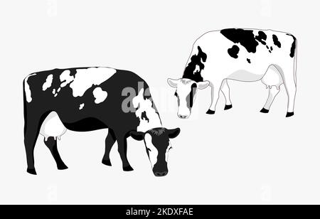 Due mucche in contanti pascolano in un campo, mangiando erba. Milkmaid nel prato. Animali che si nutrono di pascoli biologici. Isolato piatto illustrazione di un caseificio lontano Foto Stock