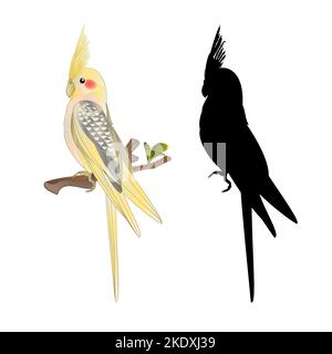 Giallo cockatiel carino uccello tropicale divertente pappagallo stile acquerello su uno sfondo bianco vintage vettore illustrazione modificabile disegno a mano Illustrazione Vettoriale