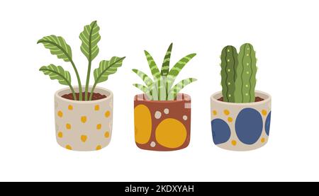 Set vaso fiori. Raccolta organica di piante da casa piatte. Set di piante interne della casa. Illustrazione vettoriale. Illustrazione Vettoriale