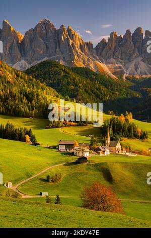 Un'immagine verticale di un tramonto autunnale nella famosa chiesa e villaggio di Santa Maddalena di fronte alle vette delle Dolomiti di Geisler o Odle Foto Stock