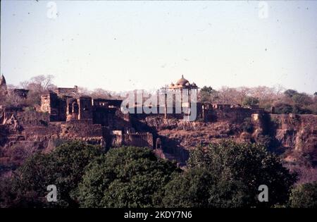 Il forte di Ranthambore si trova all'interno del Parco Nazionale di Ranthambore, vicino alla città di Sawai Madhopur nel distretto di Sawai Madhopur del Rajasthan, il forte di India.The è caratterizzato da templi, carri armati, cancelli massicci e pareti enormi. Foto Stock