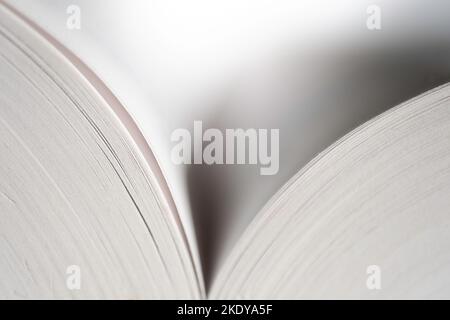 Libro aperto al centro con vista sulle pagine, con profondità di campo bassa su sfondo bianco Foto Stock