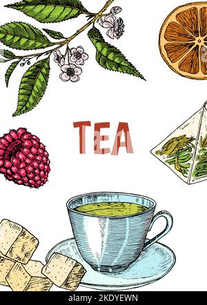 Tisana sacchetto carta. Teiera, tazza, zucchero, piante, paesaggio, Lamponi, croissant, limone, camomilla Poster o banner. Ingredienti per la cornice del negozio Illustrazione Vettoriale