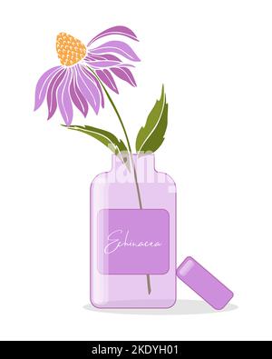 Echinacea purpurea pianta. Fiori di Echinacea con bottiglia . Estratto, integratore, crema, olio naturale. Raccolta di erbe medicinali. Illustrazione vettoriale Illustrazione Vettoriale