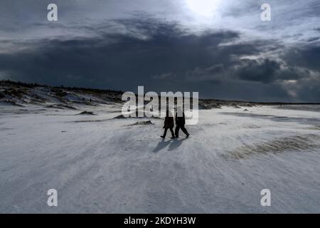 Blizzard sulla spiaggia del Mar Baltico in una giornata ventosa. Foto Stock
