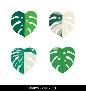 Impostare Monstera Variegata foglie. Illustrazione del vettore isolata Illustrazione Vettoriale