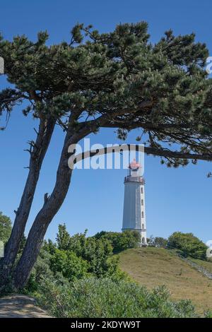 Faro famoso su Hiddensee, Mar baltico, Germania Foto Stock