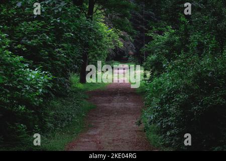 L'Arboreto del giardino botanico dell'Università di Scienze della vita di Varsavia nel villaggio di Rogow, Polonia Foto Stock