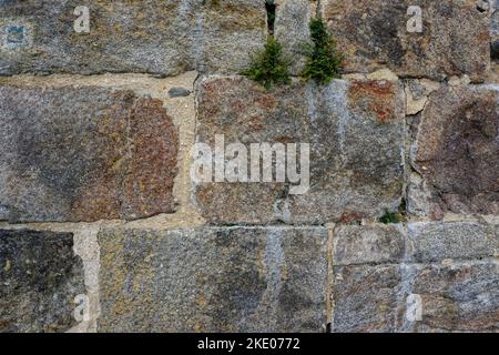 vecchio muro da bel castello in repubblica ceca Foto Stock
