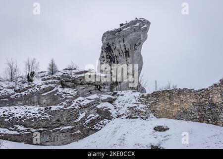 Rocce calcaree vicino al castello di Ogrodzieniec nel villaggio di Podzamcze, nella cosiddetta regione polacca del Giura Foto Stock