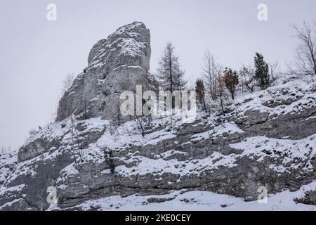 Rocce calcaree vicino al castello di Ogrodzieniec nel villaggio di Podzamcze, nella cosiddetta regione polacca del Giura Foto Stock