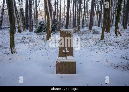 Tomba tedesca nel cimitero della prima guerra mondiale nel villaggio di Rogow a Lodzkie Voivodato in Polonia Foto Stock