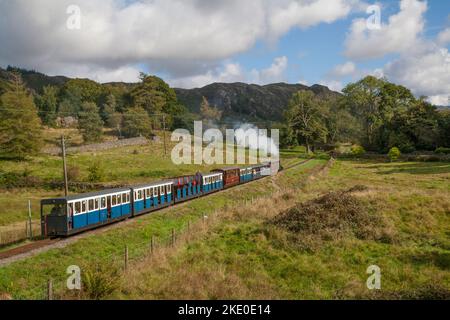 Treno a vapore sulla Ravenglass e Eskdale Steam Railway una ferrovia a vapore di 7mile 15 pollici in Cumbria Inghilterra Foto Stock