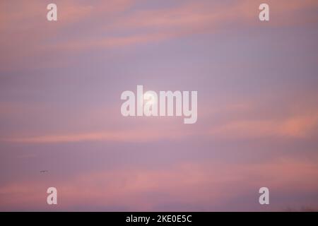 Luna piena al tramonto ad Amagansett, NY Foto Stock