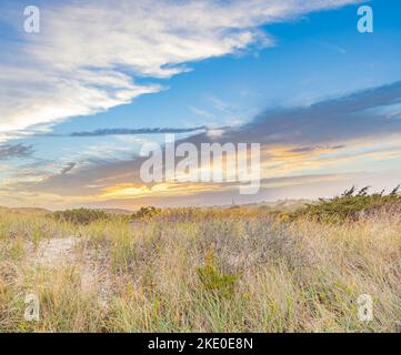 Paesaggio delle dune di sole a tarda giornata ad Atlantic Beach, Amagansett, NY Foto Stock