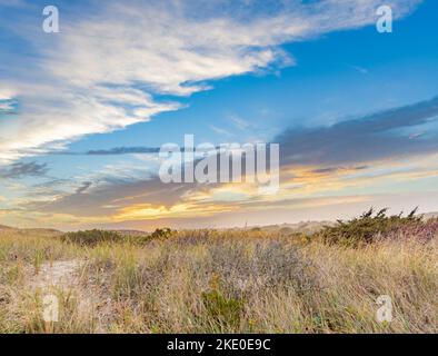 Paesaggio delle dune di sole a tarda giornata ad Atlantic Beach, Amagansett, NY Foto Stock