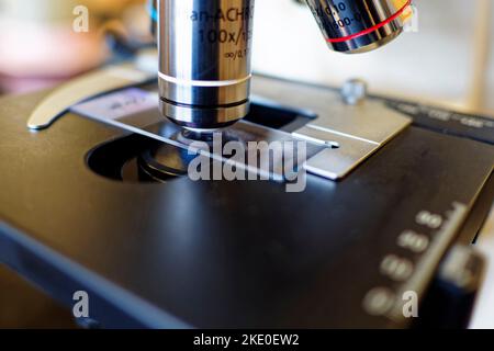 Primo piano di un vetrino fisso e obiettivo di un microscopio ottico. L'obiettivo utilizzato è l'immersione in olio, 1000x. Foto Stock