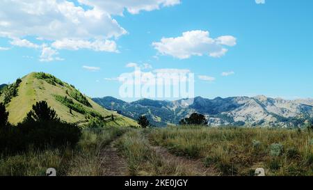 Scotts Pass/Western Trail Ridgeline Overlook Foto Stock