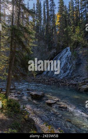 Un colpo verticale di un fiume che scorre tra gli spruchi Foto Stock