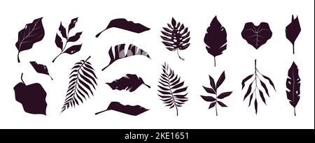 Silhouette di foglie tropicali. Piante estive botaniche esotiche, elementi decorativi monocromatici floreali del fogliame della giungla. Collezione vettoriale di estate esotica foglia silhouette illustrazione Illustrazione Vettoriale