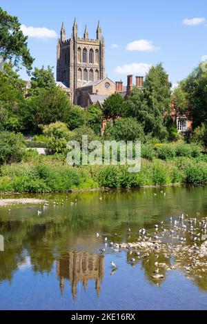 Hereford Cathedral River Wye Hereford Herefordshire Inghilterra Regno Unito GB Europa Foto Stock