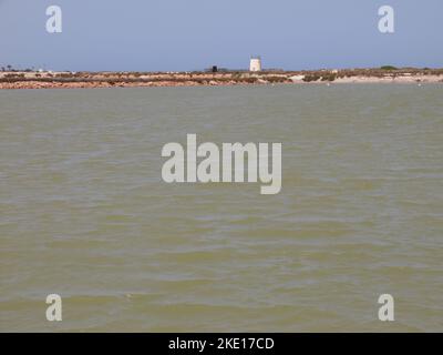 Riserva regionale di las Salinas y Arenales de San Pedro del Pinatar (Regione di Murcia, Regno di Spagna) Foto Stock