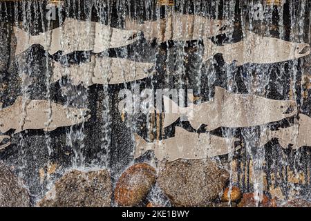 Caratteristica decorativa dell'acqua che celebra il salmone riproduttore situato a Richmond, British Columbia Canada Foto Stock