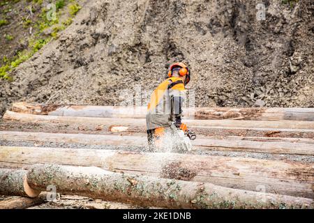 Lumberman lavoro con motosega nella foresta. Deforestazione, concetto di taglio di foresta. Il taglialegno lumberjack è un albero di motosega. Il taglialegna sega albero Foto Stock