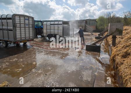 Lavaggio e disinfezione dei rimorchi utilizzati per il trasporto di bestiame sul mercato di Carmarthen Foto Stock