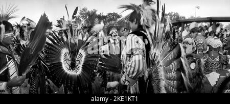 Popoli indigeni ballerini nativi americani in regalia tradizionale al United Tribes Technical College International Powwow a Bismarck, ND. Foto Stock