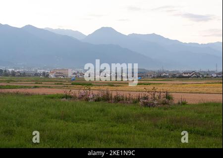 Il crepuscolo cade sulla maturazione delle risaie nella zona rurale di Azumino, Nagano, Giappone. Foto Stock
