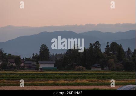 Il crepuscolo cade sulla maturazione delle risaie nella zona rurale di Azumino, Nagano, Giappone. Foto Stock