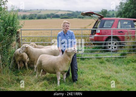 Foto di Jim Wileman - Emily Gascoigne, veto di pecora, raffigurato in Eastfields Farm, East Chinnock, con i Dorsets di sondaggio del gregge di Chinnock Foto Stock