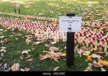 Saltwell Park Field of Remembrance, Gateshead, Inghilterra, Regno Unito Foto Stock