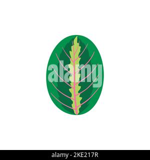 Foglia di Maranta tropicale. Elemento di design floreale e botanico Illustrazione Vettoriale