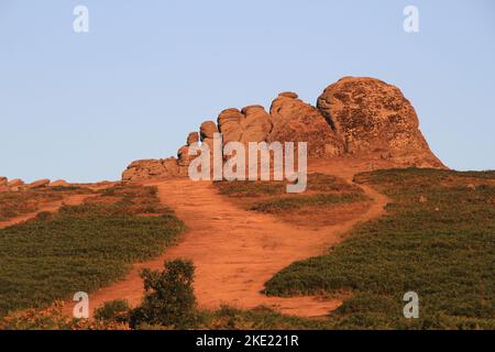 Vista mattutina intorno all'alba, Haytor, Dartmoor, Devon, Inghilterra Foto Stock