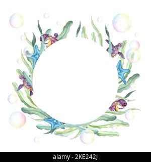 Acquerello vita subacquea Cornici con polipi, conchiglie, alghe, coralli e pietre Foto Stock