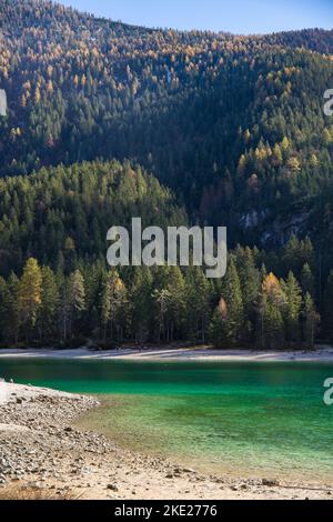 Vista autunnale sul lago di Tovel, Trentino Alto Adige, Italia. Scatto verticale. Foto Stock